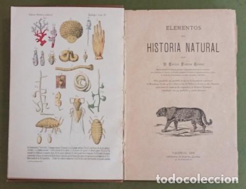 Antiquarische B&uuml;cher: RIBERA GOMEZ, EMILIO: ELEMENTOS DE HISTORIA NATURAL. Con NOCIONES DE HIGIENE . Dedicatoria aut&oacute;grafa
