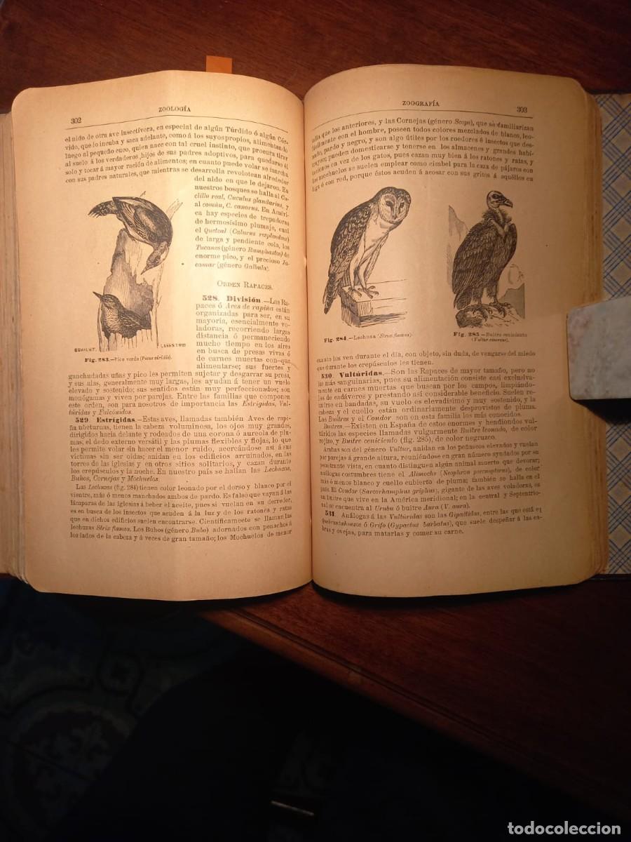 Libros antiguos: Historia Natural                          E-- Ribera - Foto 3