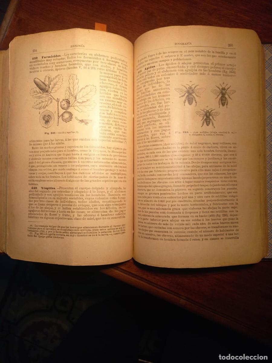 Libros antiguos: Historia Natural                          E-- Ribera - Foto 4