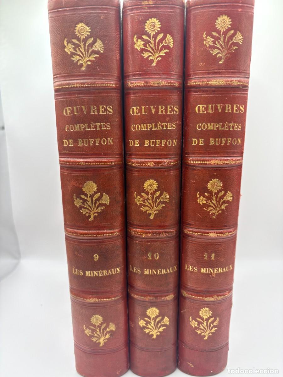 Libros antiguos: &OElig;uvres Completes de Buffon (11 tomos), Georges-Louis Leclerc - Garnier Fr&egrave;res, ca. 1855-1870