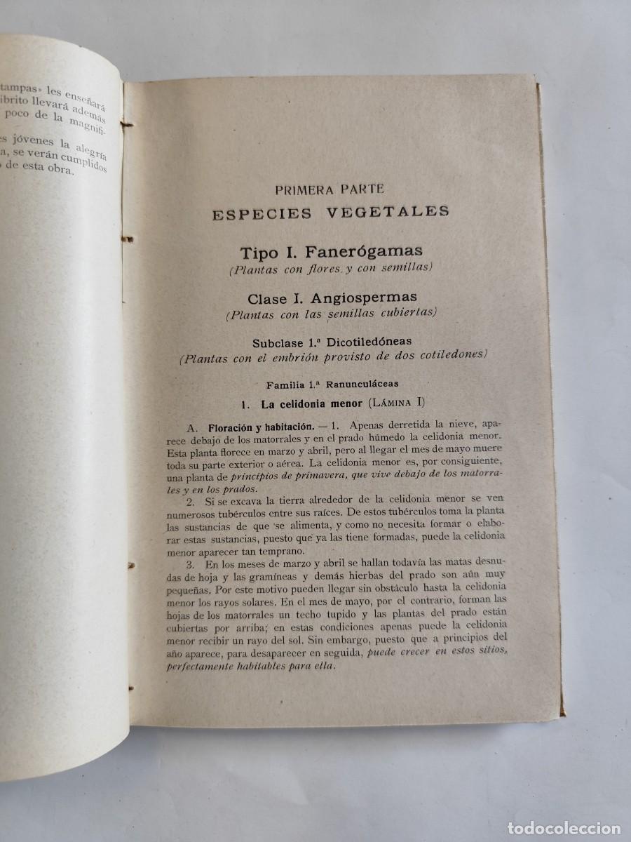 Libros antiguos: LIBRO, ELEMENTOS DE BOTANICA. DR. OTTO SCHMEIL - A&Ntilde;O 1926 - Foto 4