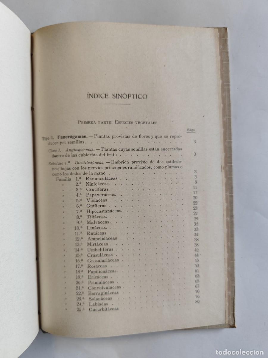 Libros antiguos: LIBRO, ELEMENTOS DE BOTANICA. DR. OTTO SCHMEIL - A&Ntilde;O 1926 - Foto 10