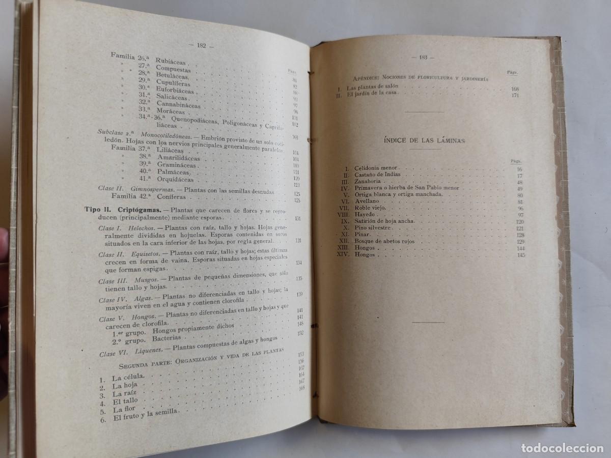 Libros antiguos: LIBRO, ELEMENTOS DE BOTANICA. DR. OTTO SCHMEIL - A&Ntilde;O 1926 - Foto 11