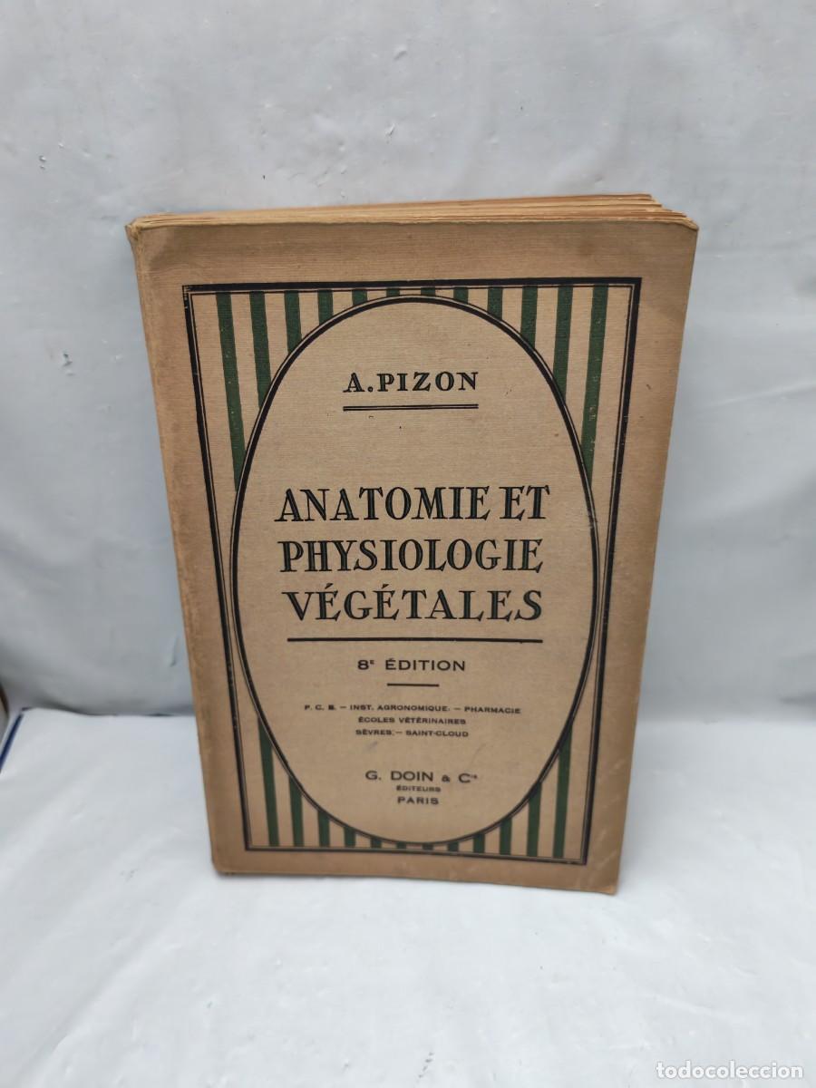 Livres anciens: Anatomie et physiologie v&eacute;g&eacute;tales (Par&iacute;s 1934, CONTIENE AISLADAS ANOTACIONES L&Aacute;PIZ EN M&Aacute;RGENES)