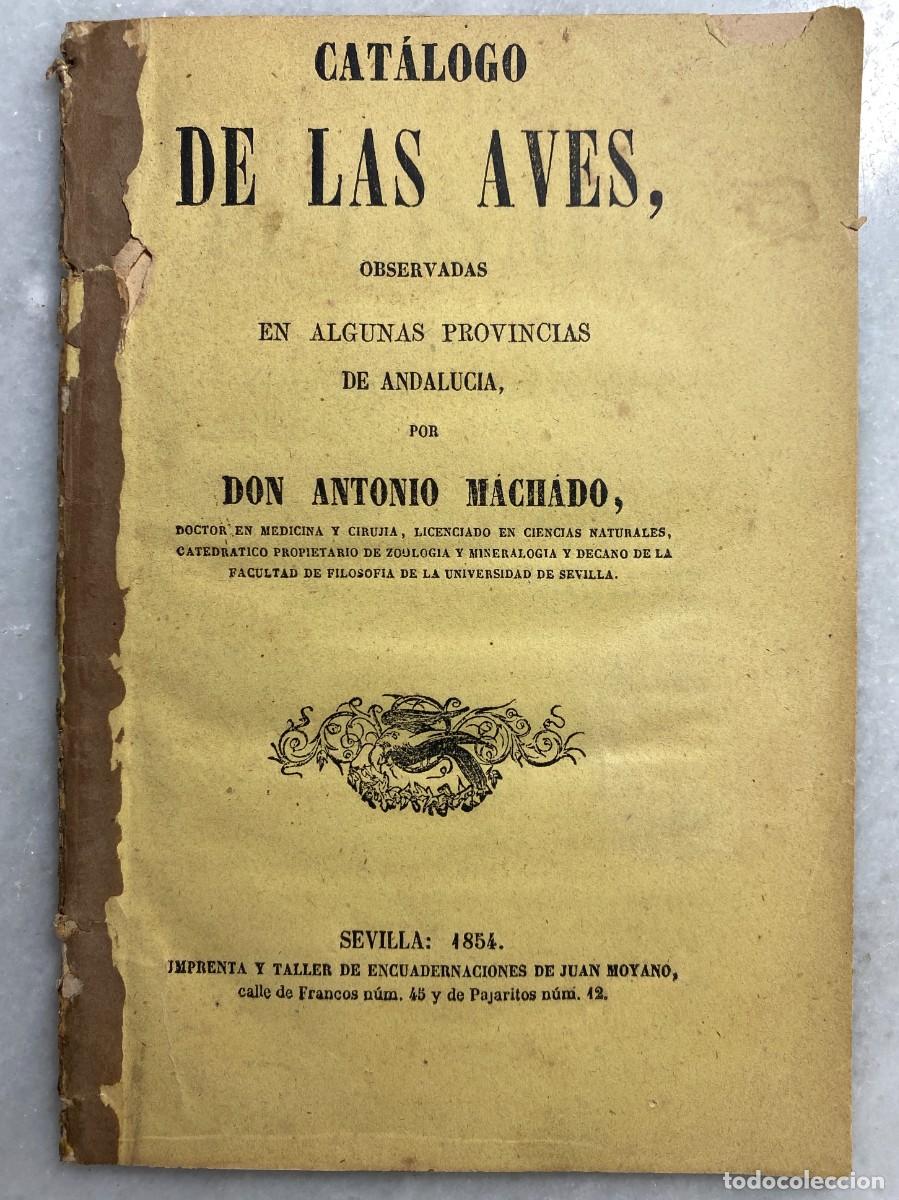 Libros antiguos: MACHADO N&Uacute;&Ntilde;EZ, Antonio. Cat&aacute;logo de las aves, observadas en algunas provincias de Andaluc&iacute;a. 1854.