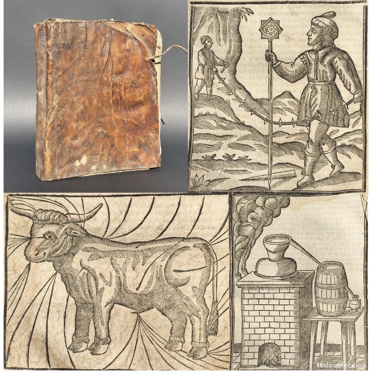 Libros antiguos: A&ntilde;o 1695 - Libro de los Secretos de Agricultura - Viticultura - Caza - Agust&iacute; - Banyoles - Gerona