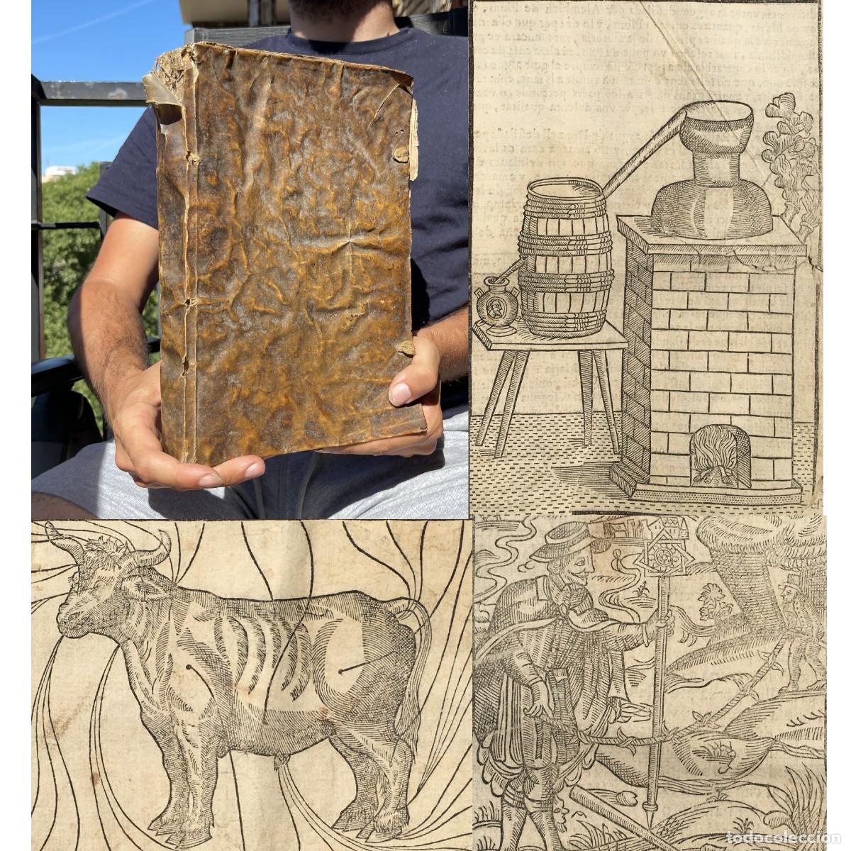 Libros antiguos: A&ntilde;o 1617 - Llibre dels secrets de agricultura - Viticultura - Pergamino - Banyoles - Gerona