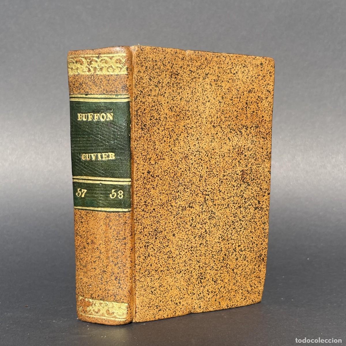Libros antiguos: A&ntilde;o 1841 - Buffon - historia natural - 2 tomos - Biolog&iacute;a - Anatom&iacute;a - Medicina - CUVIER
