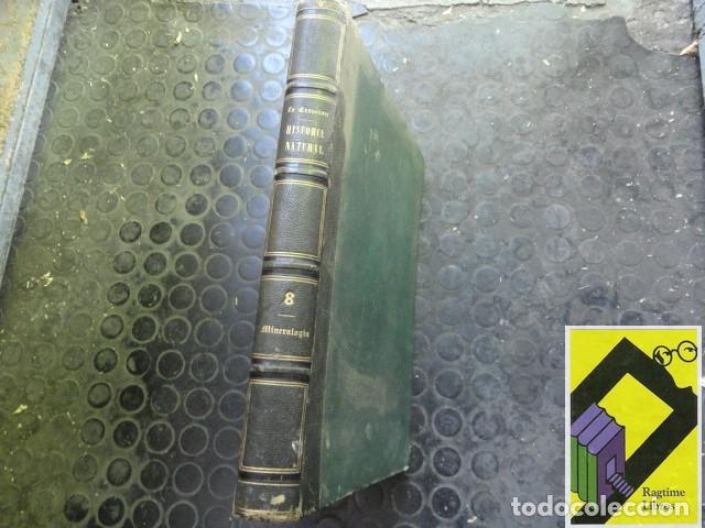 Libros antiguos: VILANOVA Y PIERA, Juan: La Creaci&oacute;n. Historia Natural. Tomo 8: Mineralog&iacute;a,Geolog&iacute;a,Paleontolog&iacute;a