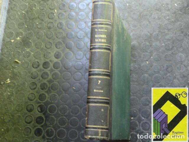 Libros antiguos: VILANOVA Y PIERA, Juan: La Creaci&oacute;n. Historia Natural. Tomo 7: Bot&aacute;nica (Por Juan Montserrat Archs)
