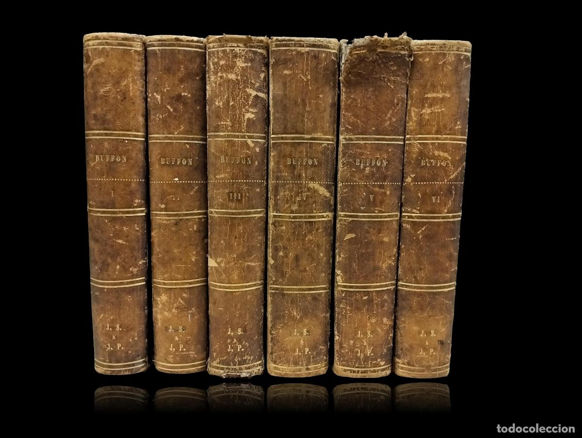 Libros antiguos: OBRAS COMPLETAS DE BUFFON Y LA CLASIFICACI&Oacute;N DE CUVIER. HISTORIA NATURAL VI VOLS. BUFFON.