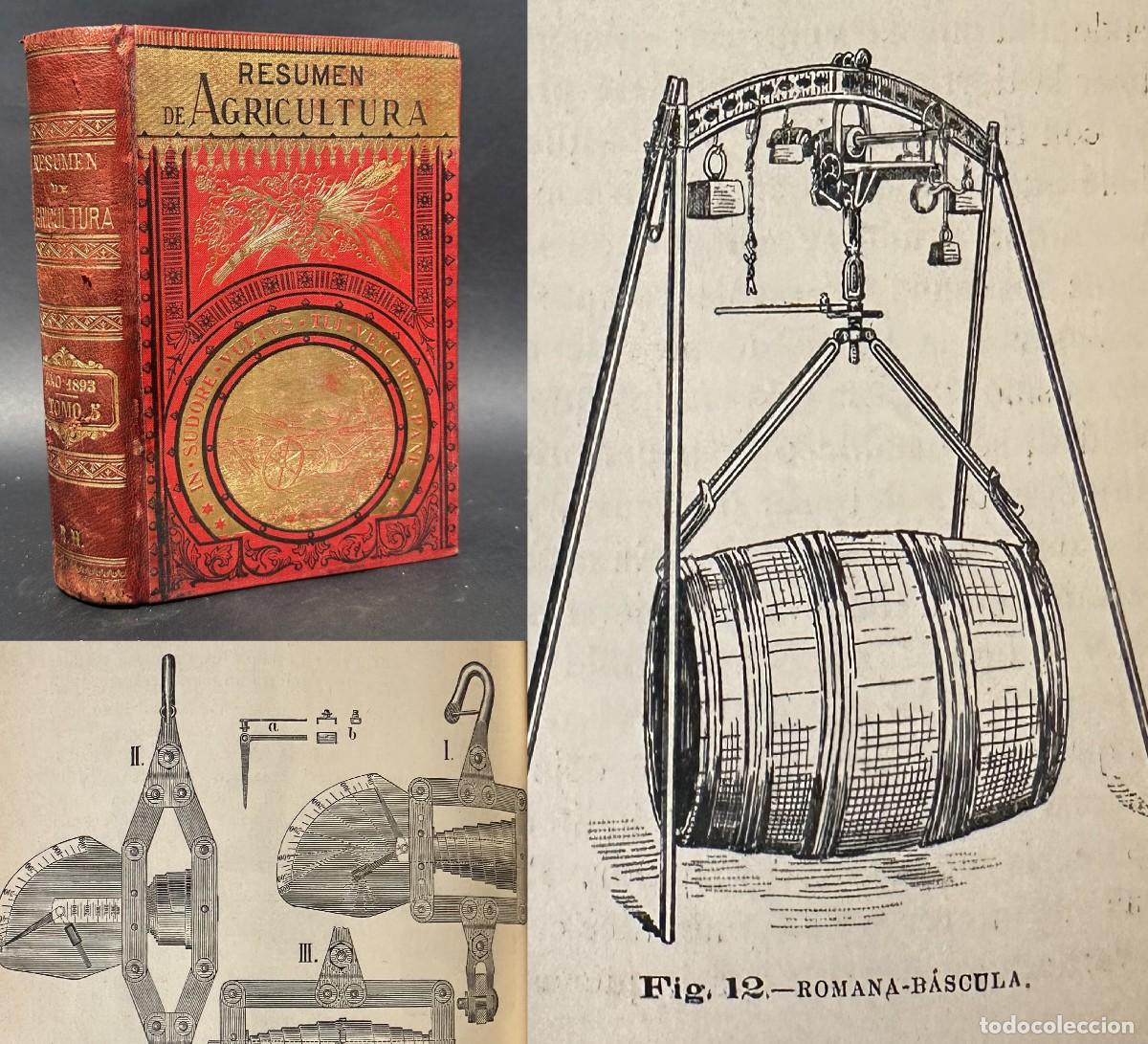 Libros antiguos: a&ntilde;o 1893 - RESUMEN DE AGRICULTURA - FILOXERA - VI&Ntilde;AS - CULTIVO DE PATATAS
