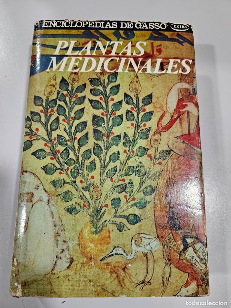 Libros antiguos: PLANTAS MEDICINALES - PROFESOR ARGOROMENDIA