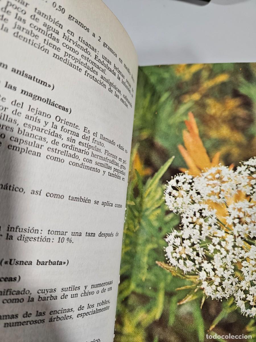 Libros antiguos: PLANTAS MEDICINALES - PROFESOR ARGOROMENDIA - Foto 3