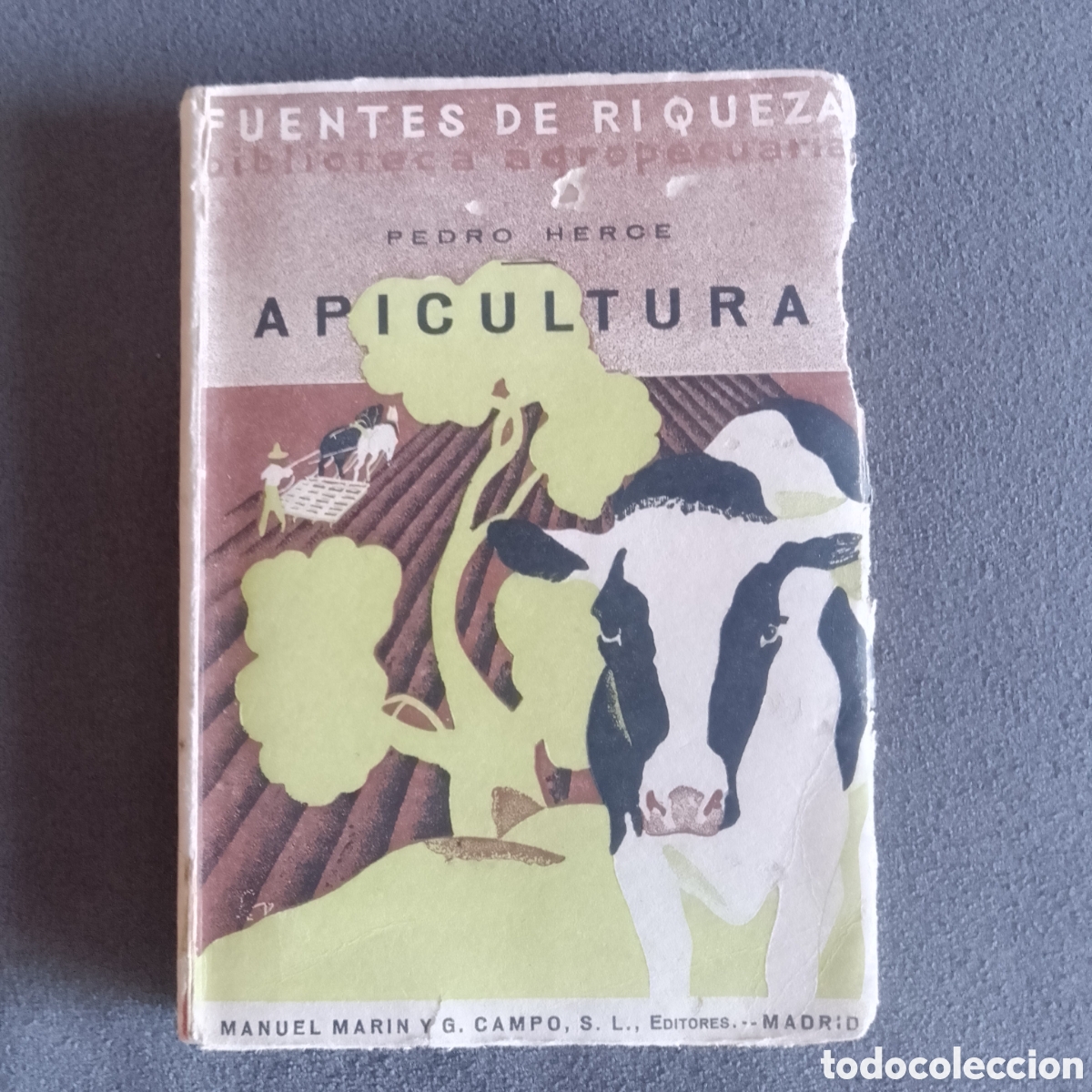 Libros antiguos: LIBRO ANTIGUO 1933 APICULTURA CONOCIMIENTOS FUNDAMENTALES POR PEDRO HEROE