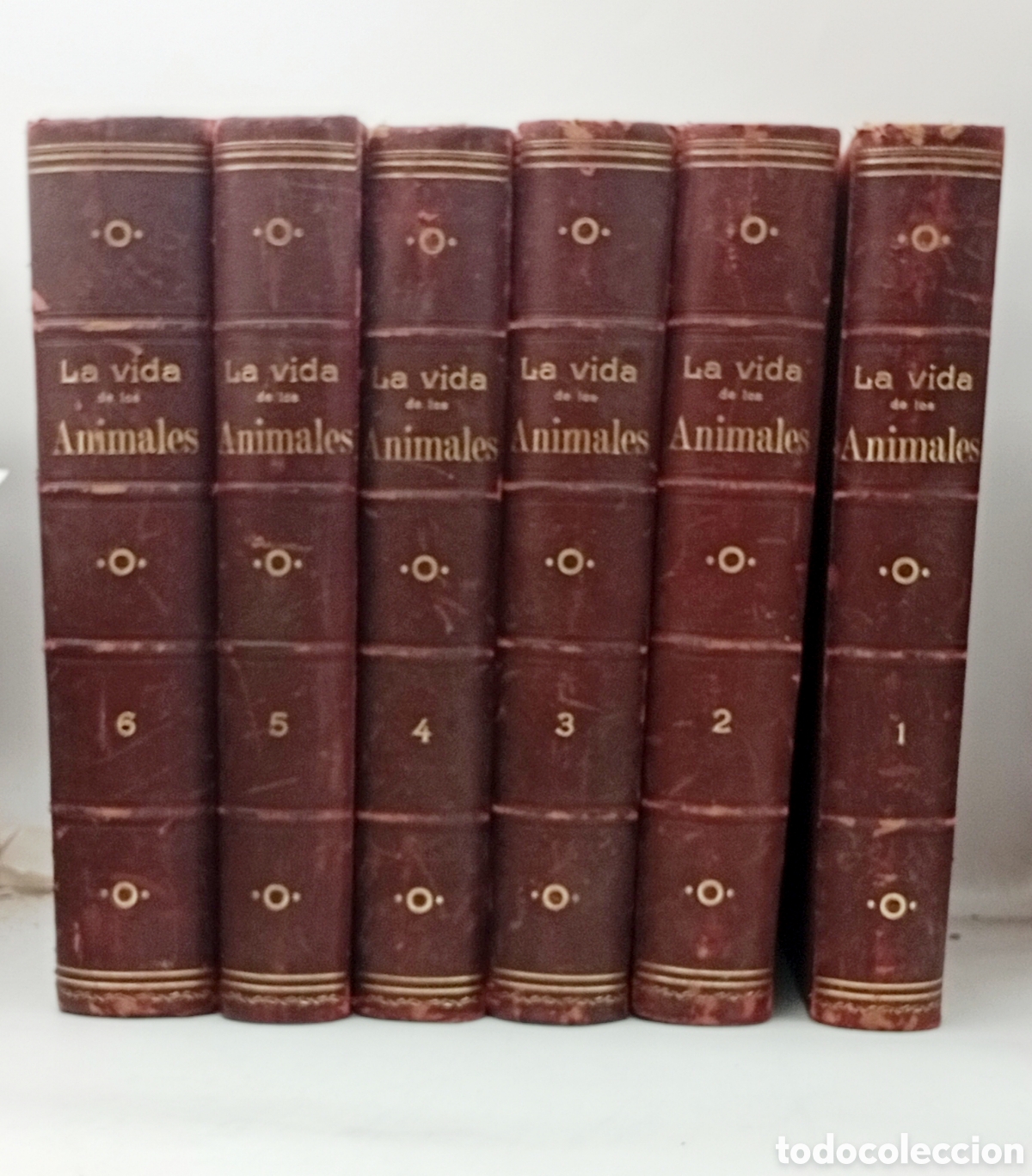 Libros antiguos: La vida de los animales por Brehn finales XIX