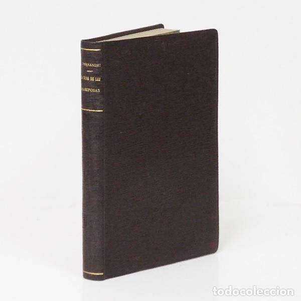 Libros antiguos: FERN&Aacute;NDEZ (Ambrosio), O.S.A. La vida de las mariposas. (Narraciones de un cazador)