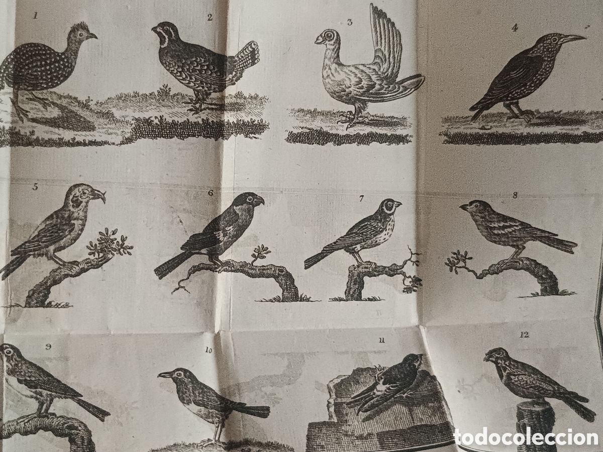 Libros antiguos: 1826 CONVERSACIONES UN PADRE CON SUS HIJOS SOBRE LA HISTORIA NATURAL. Tomo IV. 4 l&aacute;minas plegadas