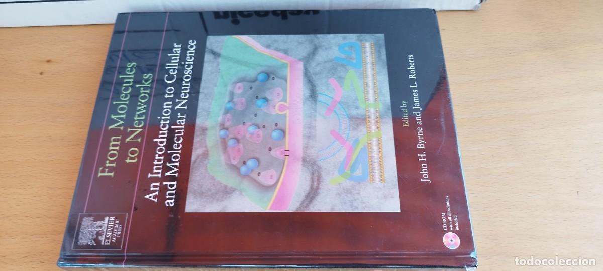 Libros antiguos: FROM MOLECULES TO NETWORKS/BYRNE-ROBERTS/mol&eacute;culas a redes introducci&oacute;n neurociencia celular y mole
