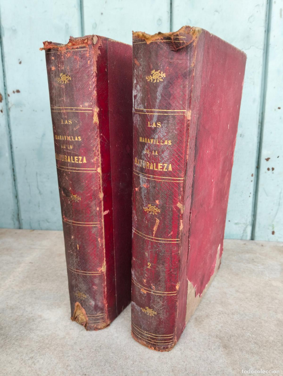 Antiquarische B&uuml;cher: Las maravillas de la naturaleza de la ciencia y del arte Manuel Aranda y Sanjuan fotograf&iacute;a tel&eacute;fono