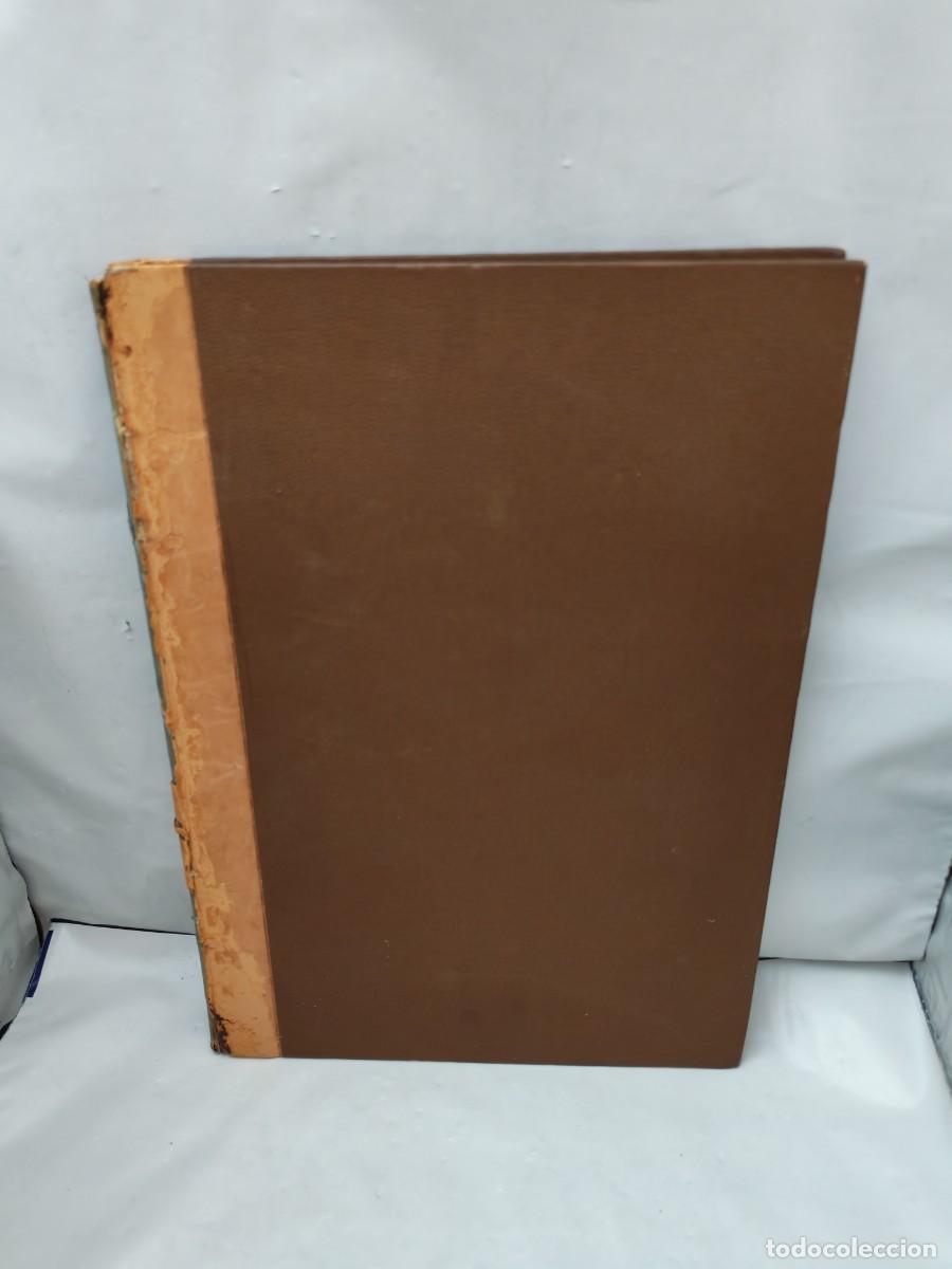 Libros antiguos: Las plantas que curan y las plantas que matan (Edici&oacute;n 1887)