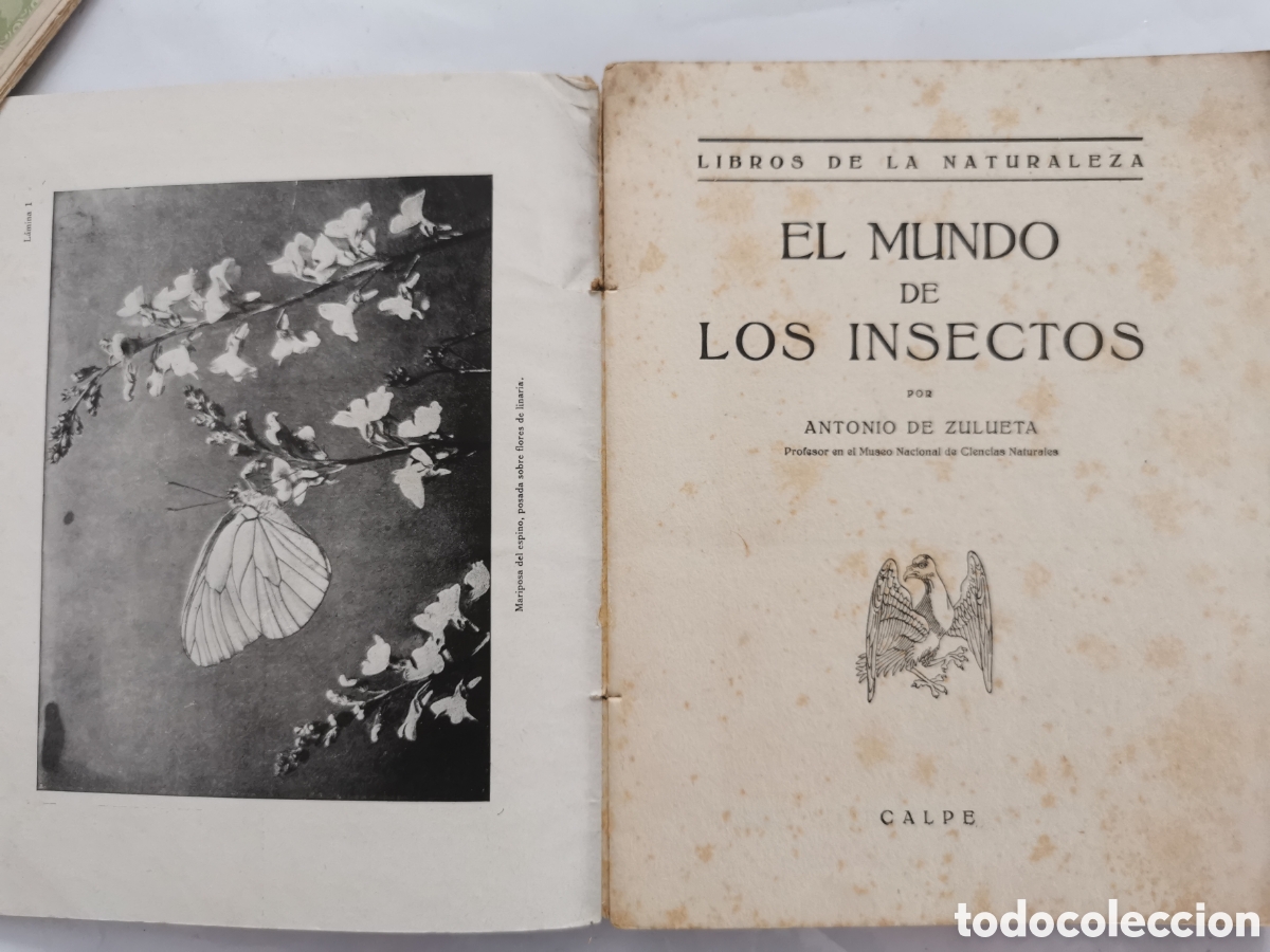 Libros antiguos: El mundo de los insectos. Antonio de Zulueta 1922