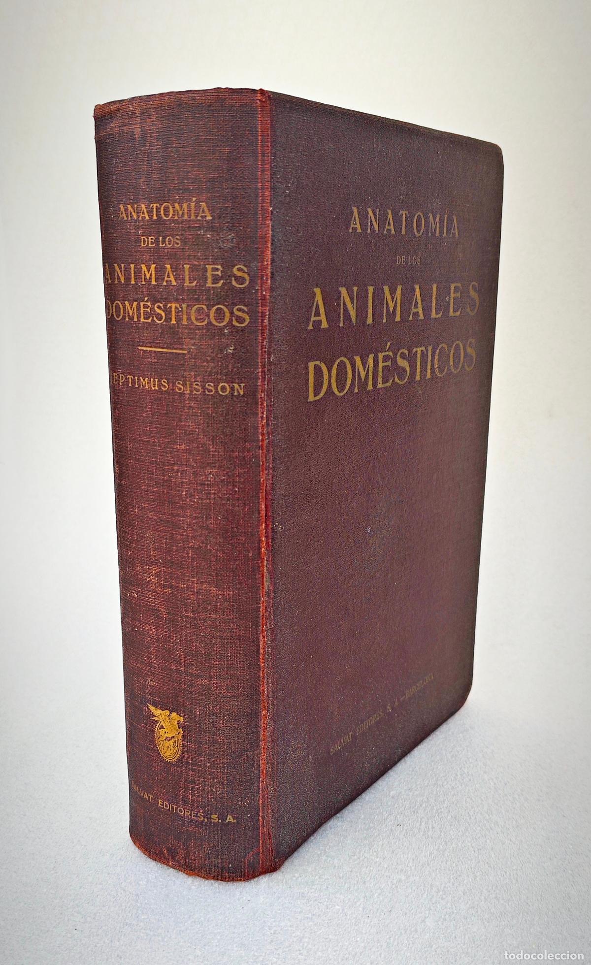 Libros antiguos: ANATOMIA DE LOS ANIMALES DOMESTICOS SALVAT 1934 1&ordf; EDICION ESPA&Ntilde;OLA - SEPTIMUS SISSON