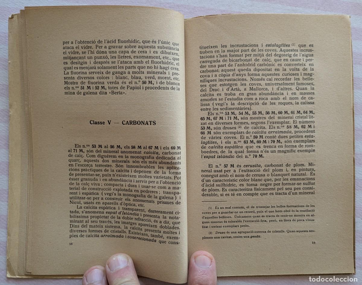 Libros antiguos: Cat&agrave;leg Descriptiu en el museo del C. E. de Sabadell. Miquel Crusafont - Foto 5
