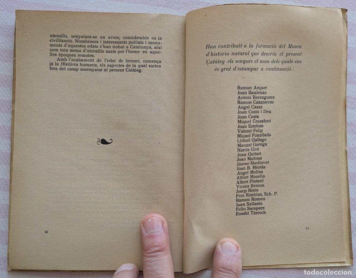 Libros antiguos: Cat&agrave;leg Descriptiu en el museo del C. E. de Sabadell. Miquel Crusafont - Foto 9