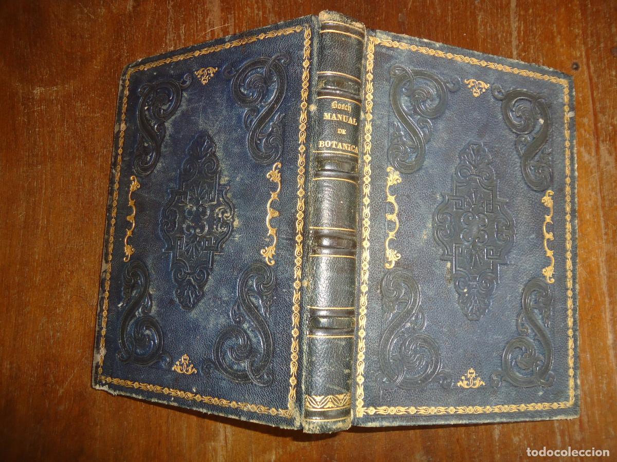 Libros antiguos: Manual de bot&aacute;nica aplicada ... Miguel Bosch. 1858. Lujosa encuadernaci&oacute;n. Dedicatoria