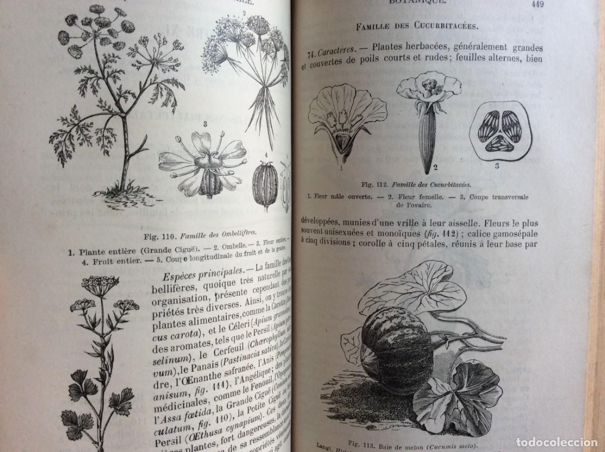 Libros antiguos: Histoire Naturelle: Anatomie et Physiologie animale. Anatomie et..Por J. Langlebert, 1903
