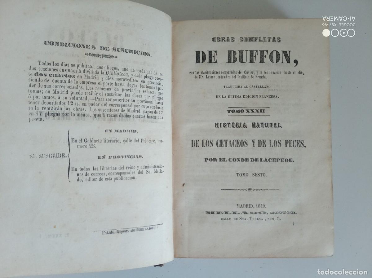 Libros antiguos: OBRAS DE BUFFON. HISTORIA NATURAL DE LOS CETACEOS Y DE LOS PECES. 1860. CON GRABADOS.