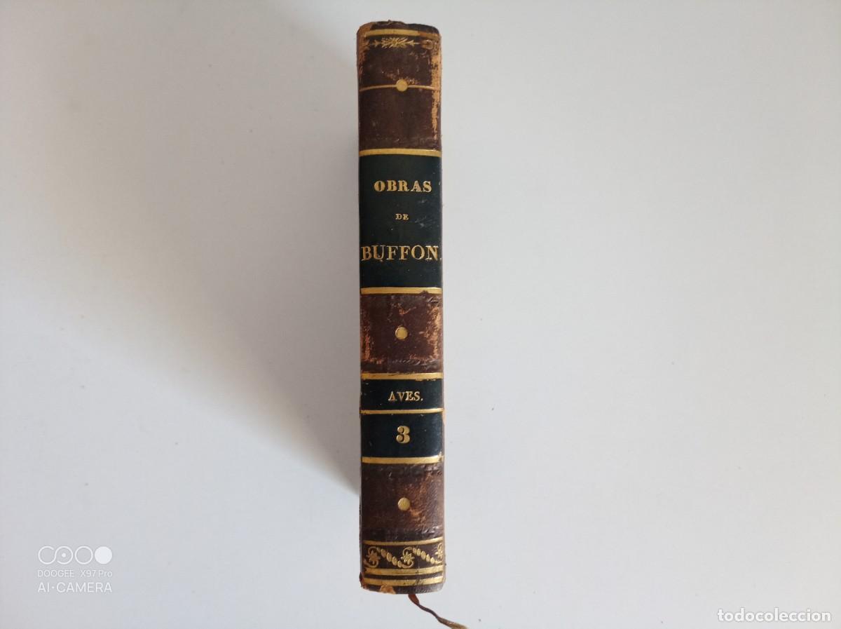 Libros antiguos: OBRAS COMPLETAS DE BUFFON. AVES. BARCELONA 1833.