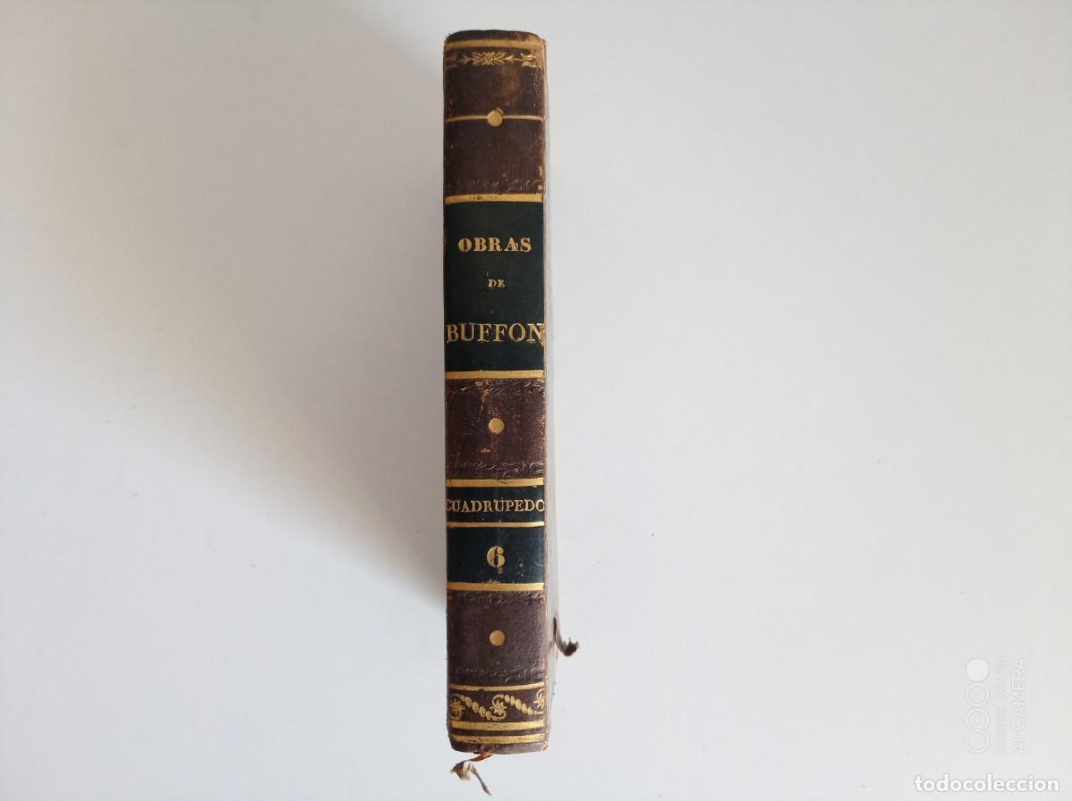 Libros antiguos: OBRAS COMPLETAS DE BUFFON. CUADRUPEDOS. BARCELONA 1833.