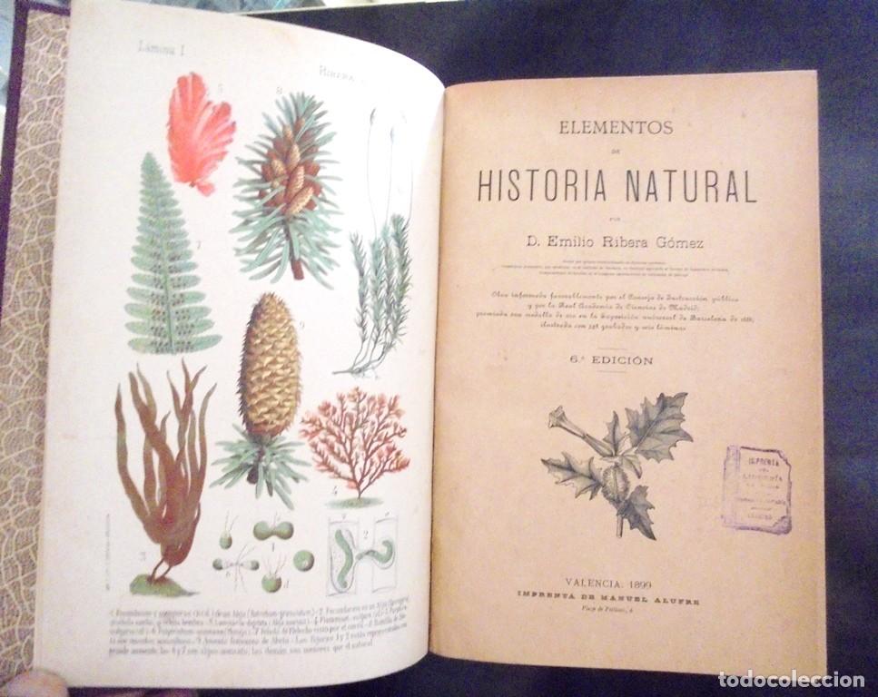 Libros antiguos: Elementos de historia natural Emilio Ribera G&oacute;mez 1899 6&ordf; ed. Val&egrave;ncia, Imp. de Manuel Alufre