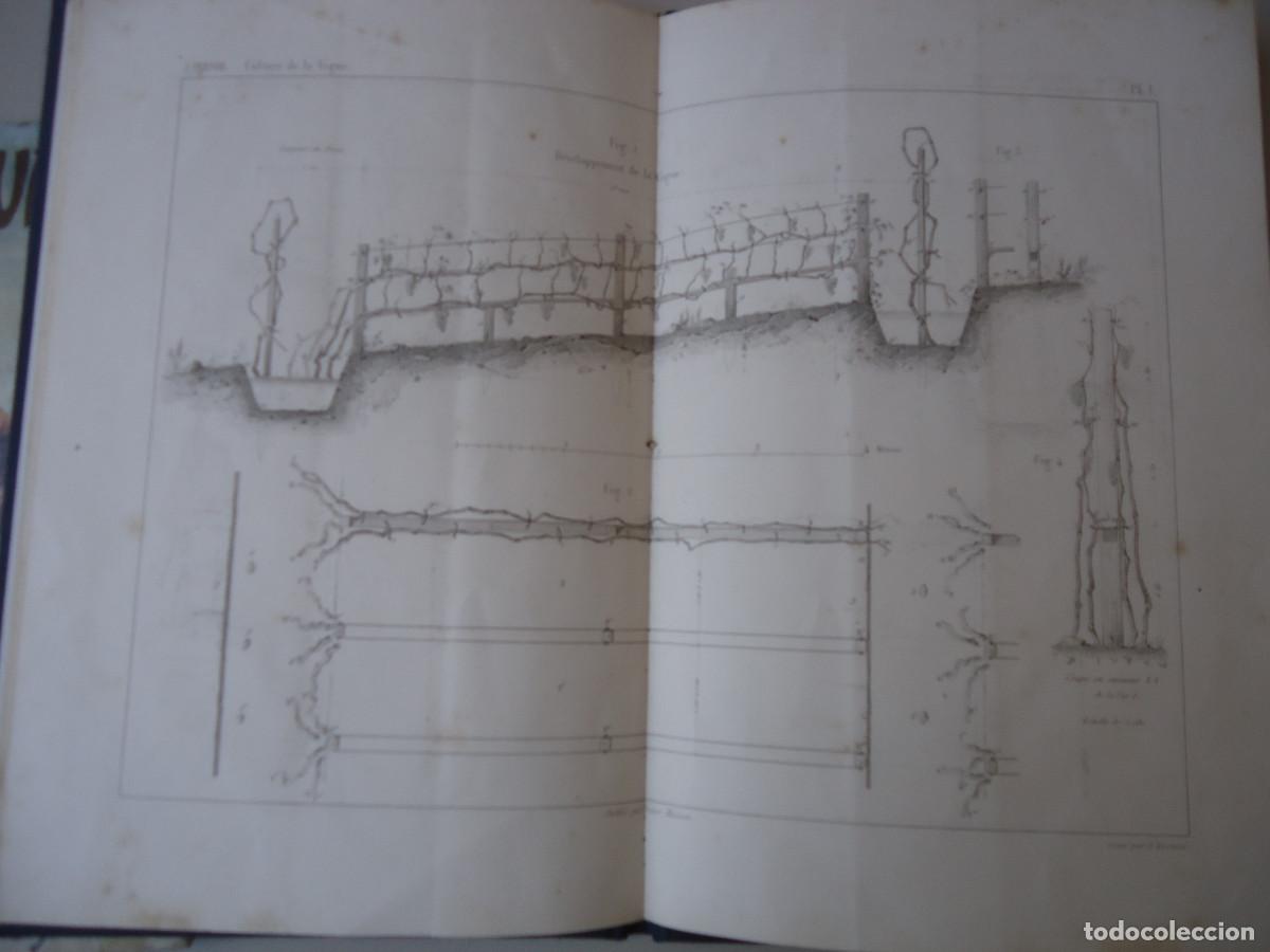 Libros antiguos: Nouveau proc&eacute;d&eacute; pour la culture de la vigne. Jean Persoz. 1849
