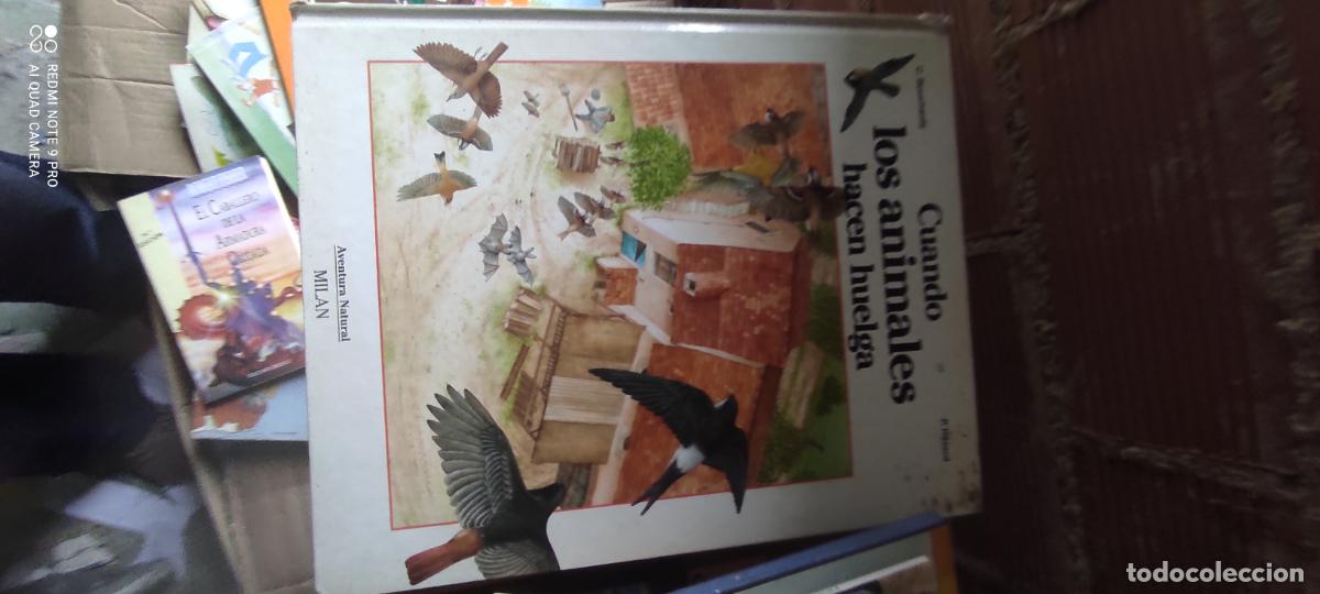 Libros antiguos: cuando los animales hacen huelga - christian bouchardy y p. h&eacute;zard - aventura natural milan - IEB