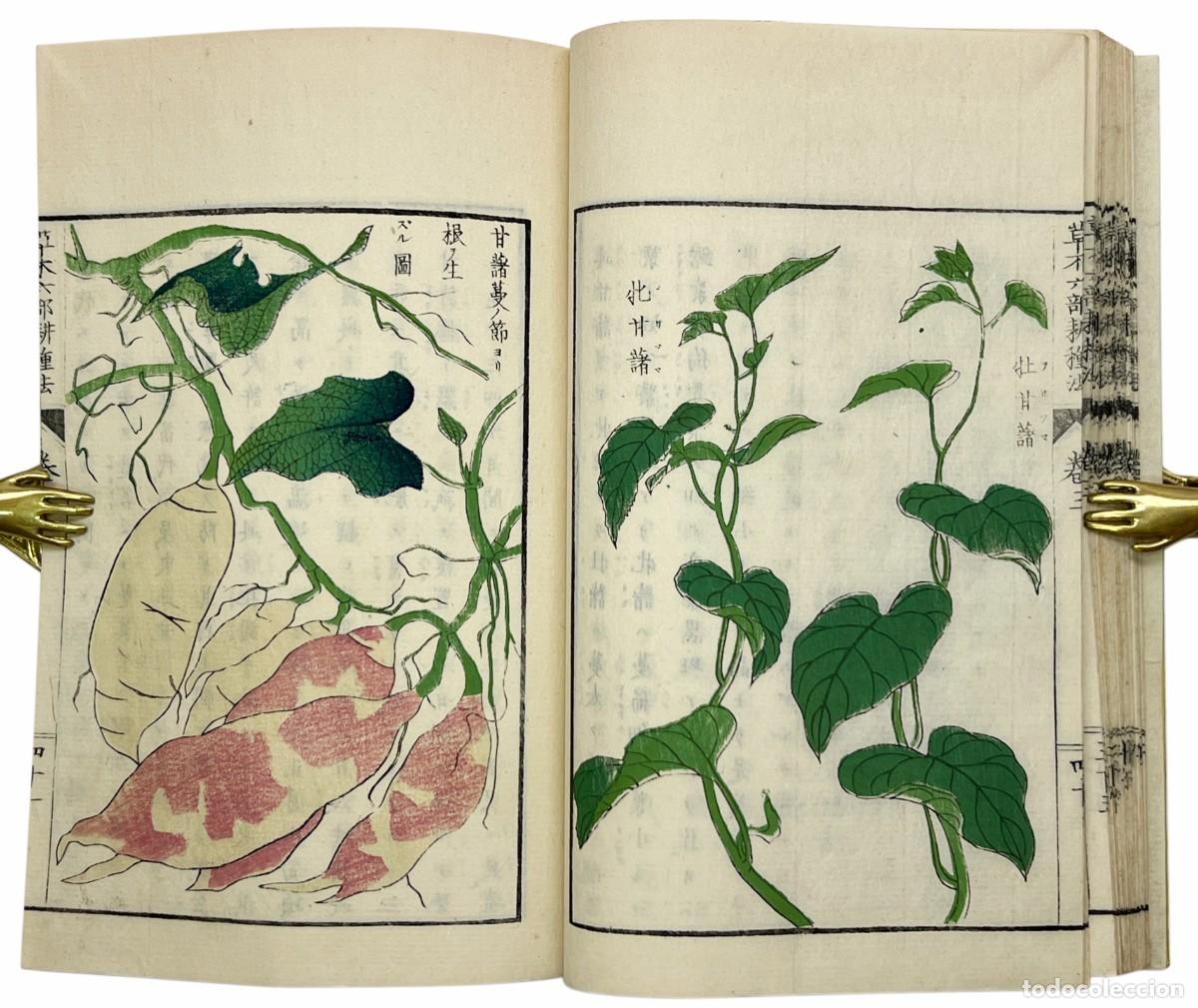 Libros antiguos: SATŌ NOBUHIRO - M&Eacute;TODOS DE CULTIVO DE LAS PLANTAS Y LOS &Aacute;RBOLES.
