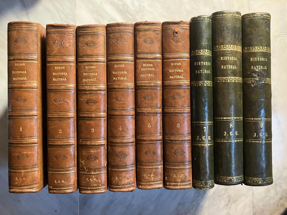 Libros antiguos: HISTORIA NATURAL. BUFFON. 1854 GASPAR Y ROIG 9 TOMOS