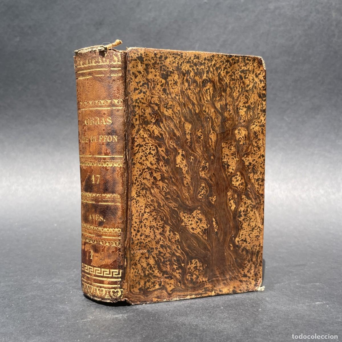 Libros antiguos: A&ntilde;o 1832 - Obras completas de Buffon - Aves - &Aacute;guila - Rapaces - Buitre - C&oacute;ndor - B&uacute;ho