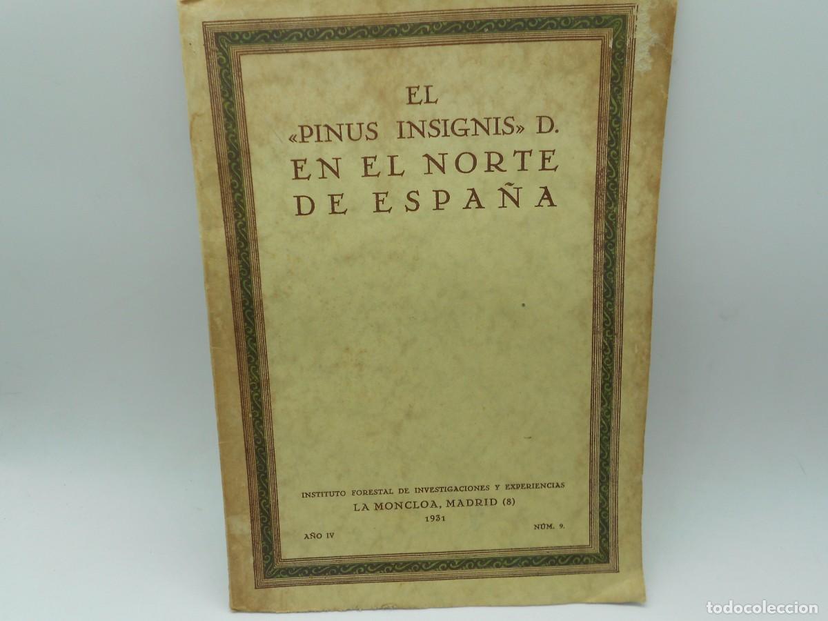 Libros antiguos: el pinus insignis en el norte de espa&ntilde;a 1931