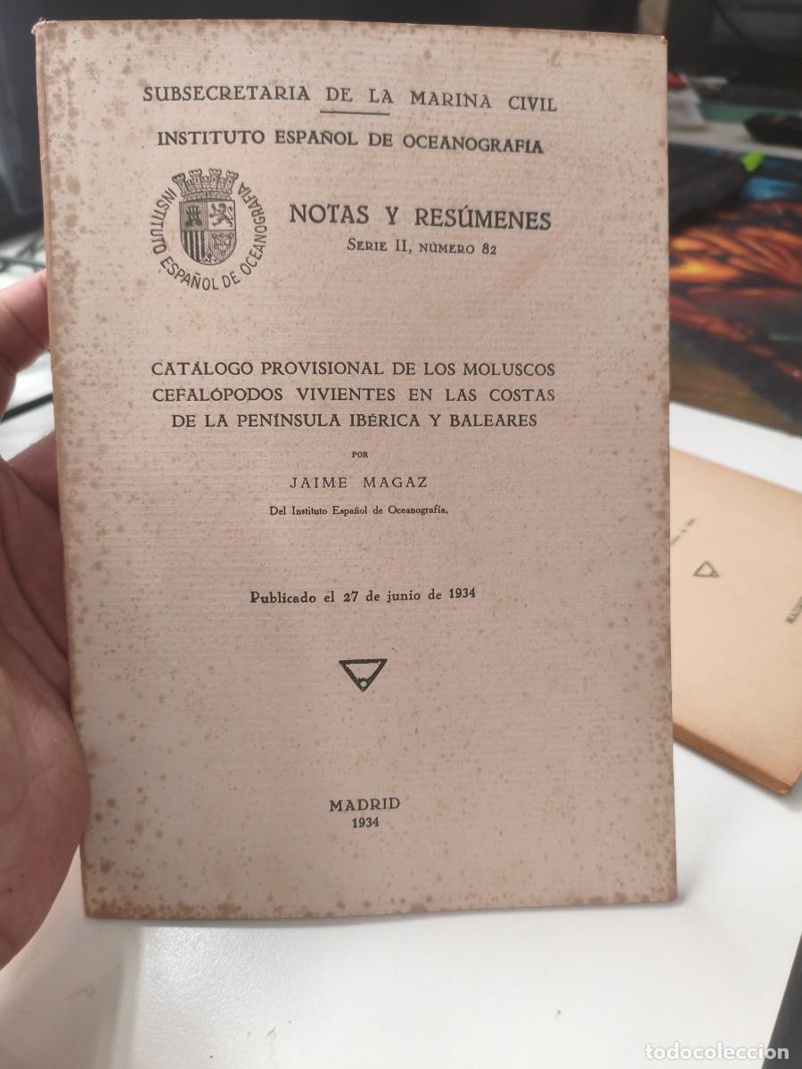 Libros antiguos: Cat&aacute;logo provisional de los moluscos cefal&oacute;podos costas pen&iacute;nsula ib&eacute;rica y baleares. Jaime Magaz.