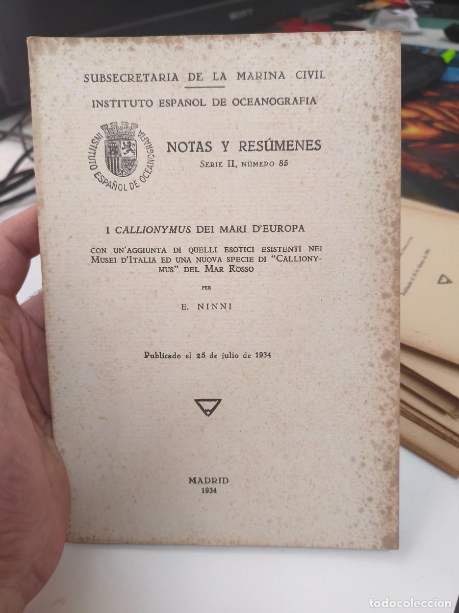 Libros antiguos: I callionymus dei mari d'europa. E. Ninni. Mar Rosso Instituto espa&ntilde;ol de oceanograf&iacute;a calinon&iacute;midos