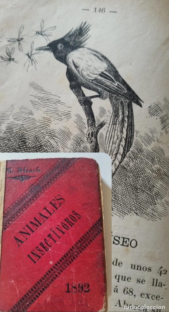 Libros antiguos: Animales Insect&iacute;voros - Miguel Bleach y Burunat - Barcelona 1892 - Ilustrado (226 Grabados)