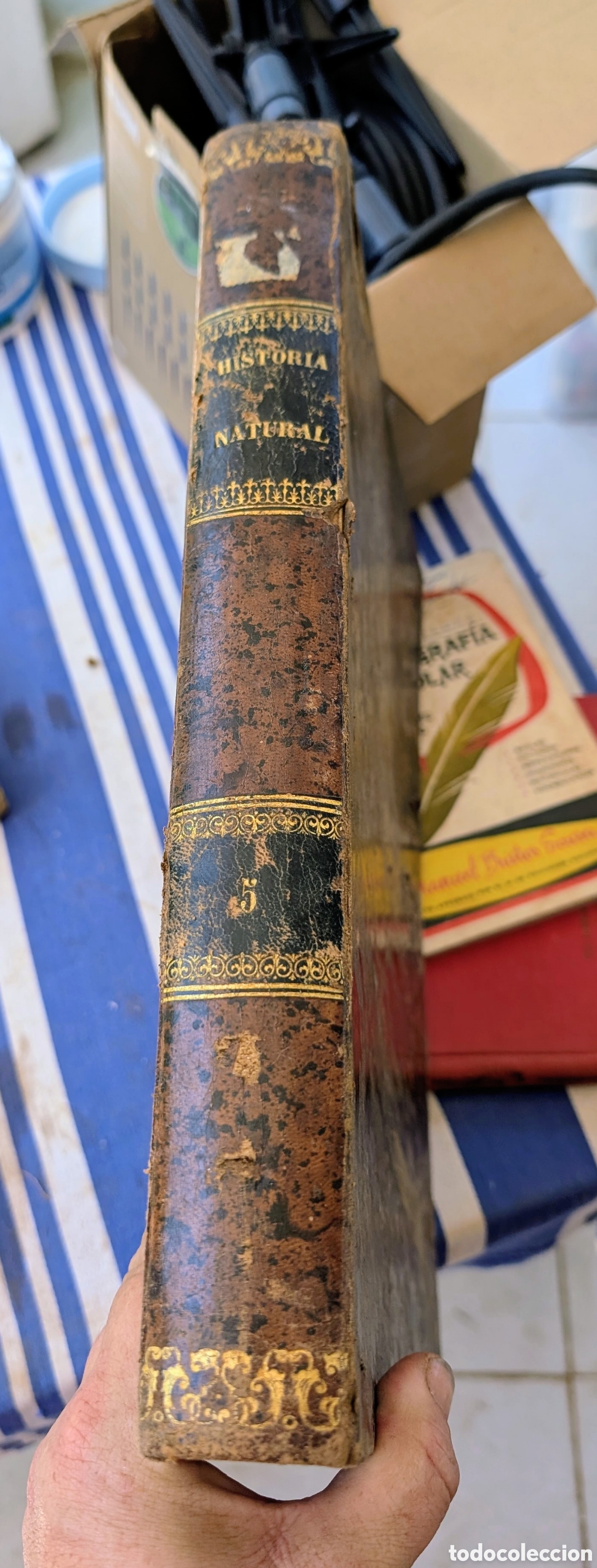 Libros antiguos: Libro antiguo &ldquo;La Creaci&oacute;n &ndash; Historia Natural&rdquo; (1874) &ndash; Reptiles y Peces &ndash; Juan Vilanova y Piera &ndash; l