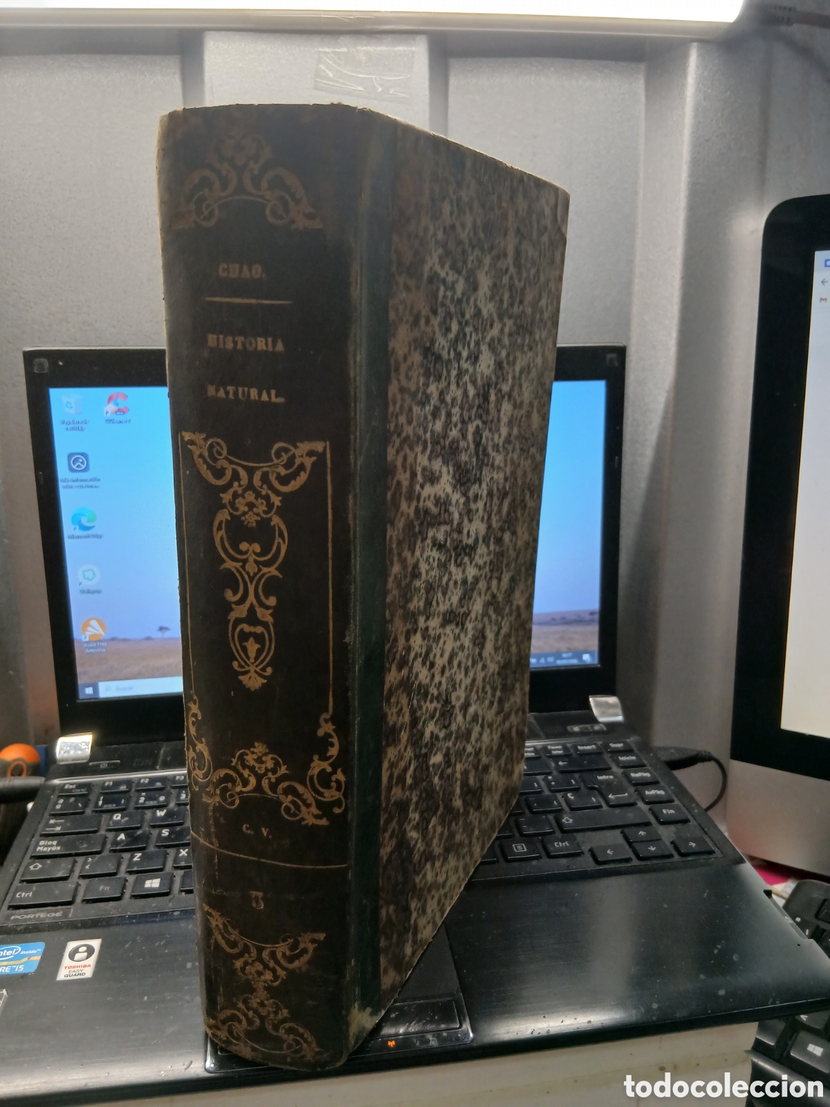 Libros antiguos: BUFFON Y OTROS . LOS TRES REINOS DE LA NATURALEZA MUSEO PINTORESCO DE HISTORIA NATURAL 1854