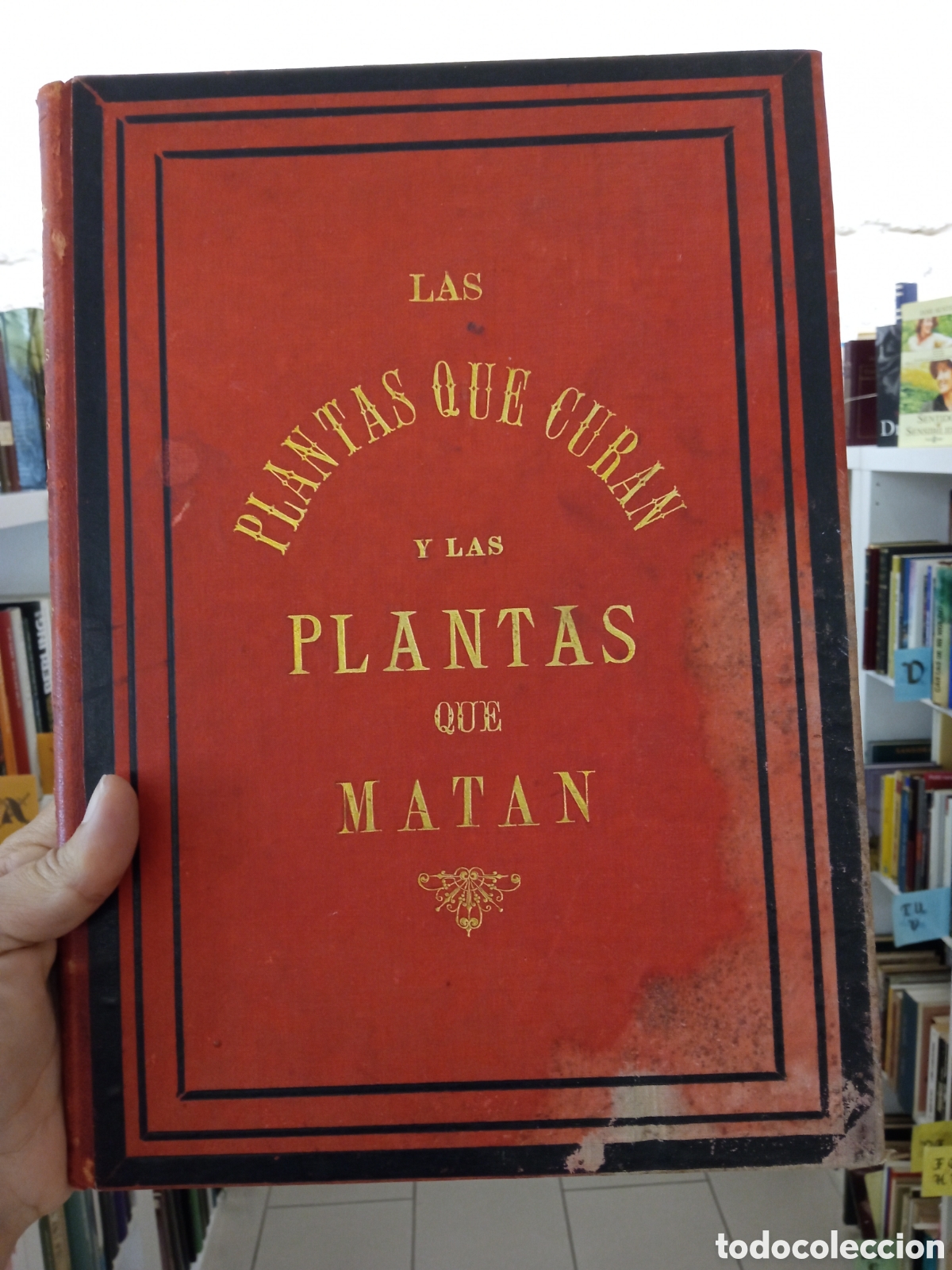 Libros antiguos: LIBRO LAS PLANTAS QUE CURAN Y LAS PLANTAS QUE MATAN - A&Ntilde;O 1887