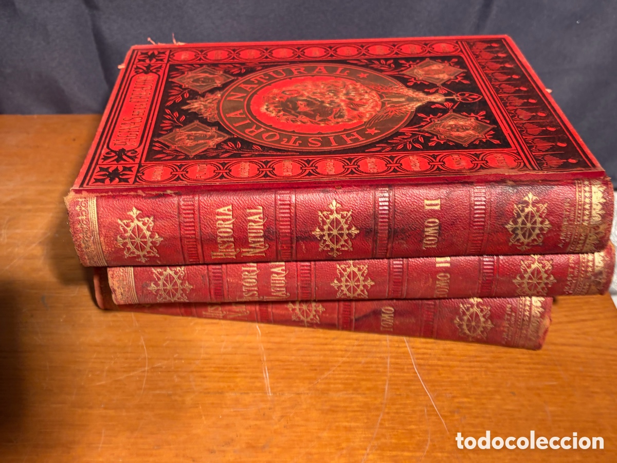 Libros antiguos: P&aacute;ginas de la Creaci&oacute;n. Enciclopedia de historia natural &oacute; resumen de todas las ciencias naturales