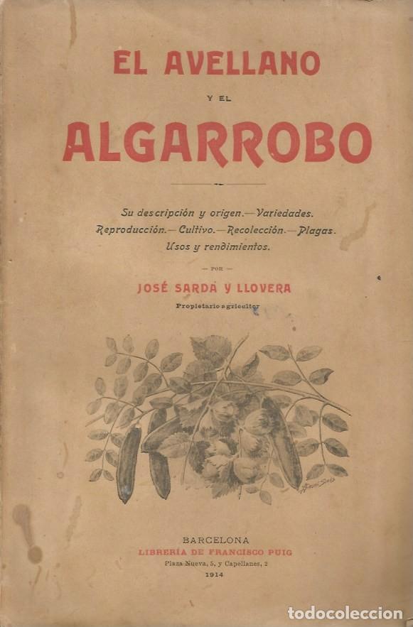 Libros antiguos: EL AVELLANO Y EL ALGARROBO - JOS&Eacute; SARD&Aacute; Y LLOVERA 1914
