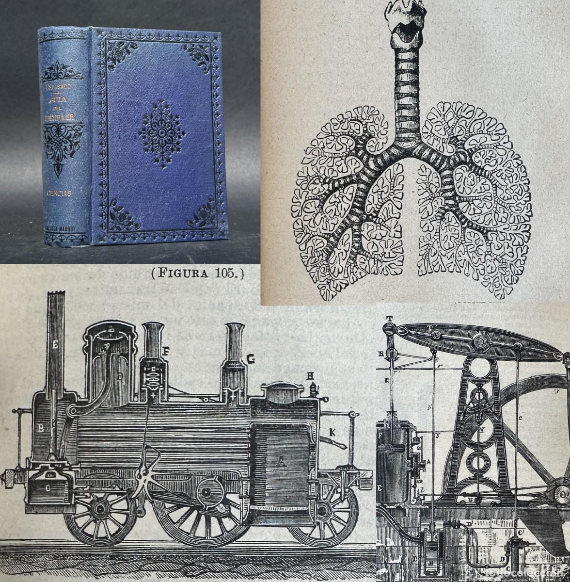 Libros antiguos: a&ntilde;o 1901 - GUIA DEL BACHILLER - CIENCIAS - ELEMENTOS DE FISIOLOGIA E HIGIENE - GRABADOS -